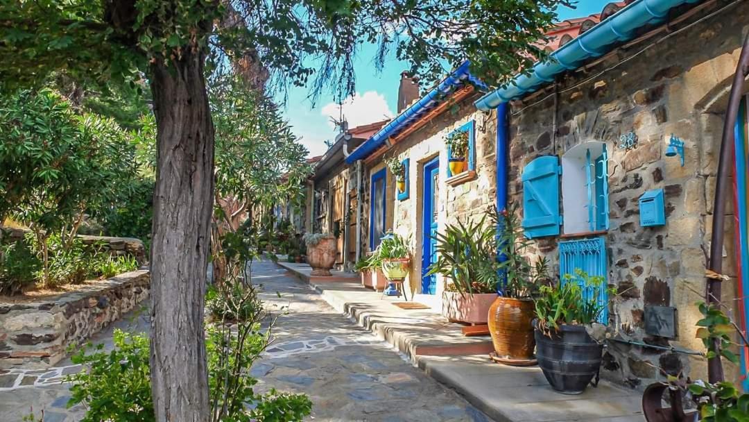 Maison Sur La Roche, Vue Mer Exceptionnelle, Parking Prive, Quartier Historique, Calme Villa Collioure Exteriör bild