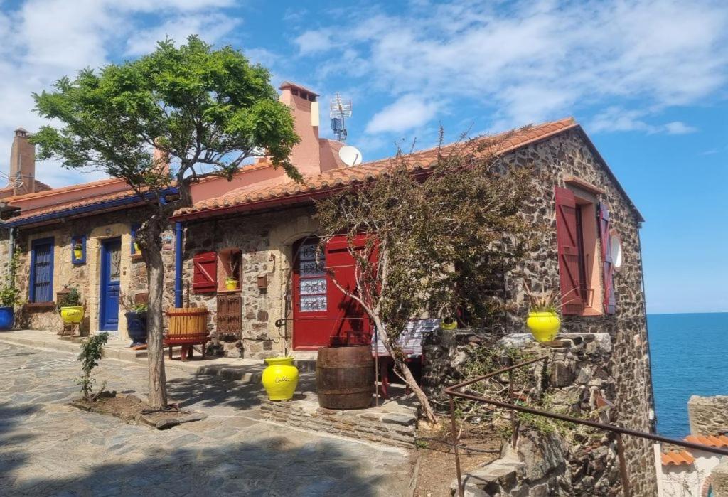 Maison Sur La Roche, Vue Mer Exceptionnelle, Parking Prive, Quartier Historique, Calme Villa Collioure Exteriör bild